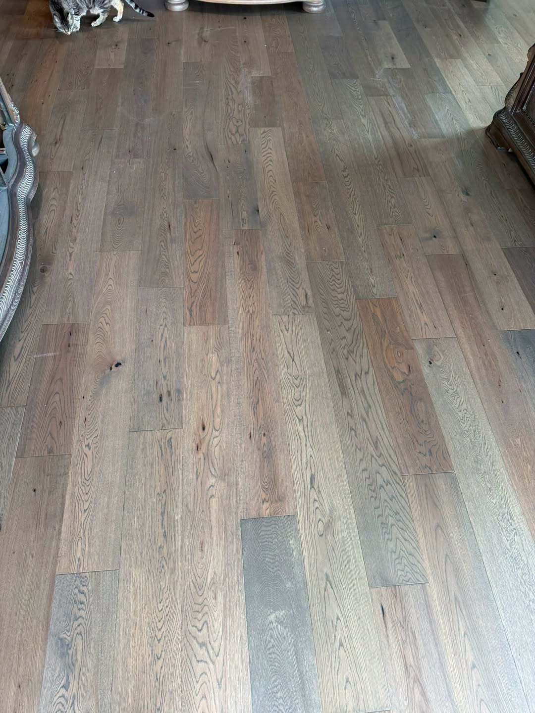 Bella Cera Belle Harbour engineered hardwood in the color Hamels.