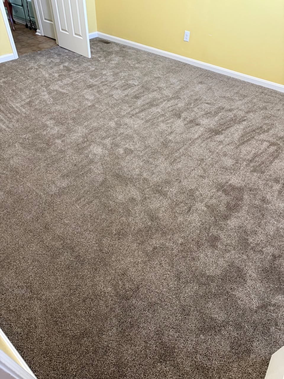 Viaduct 60-ounce carpet in the color Island Spice.