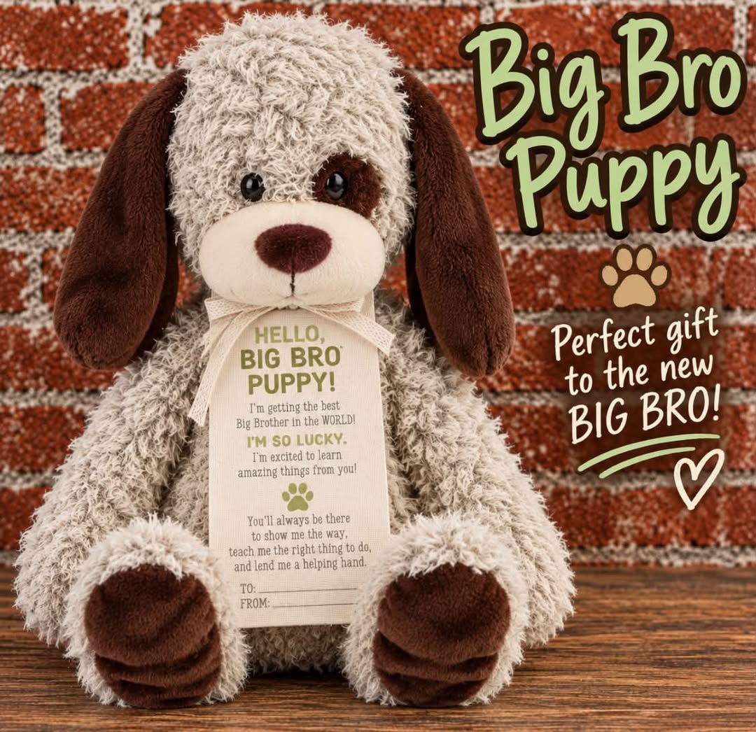 Big Bro Puppy gift set for a new older sibling.
