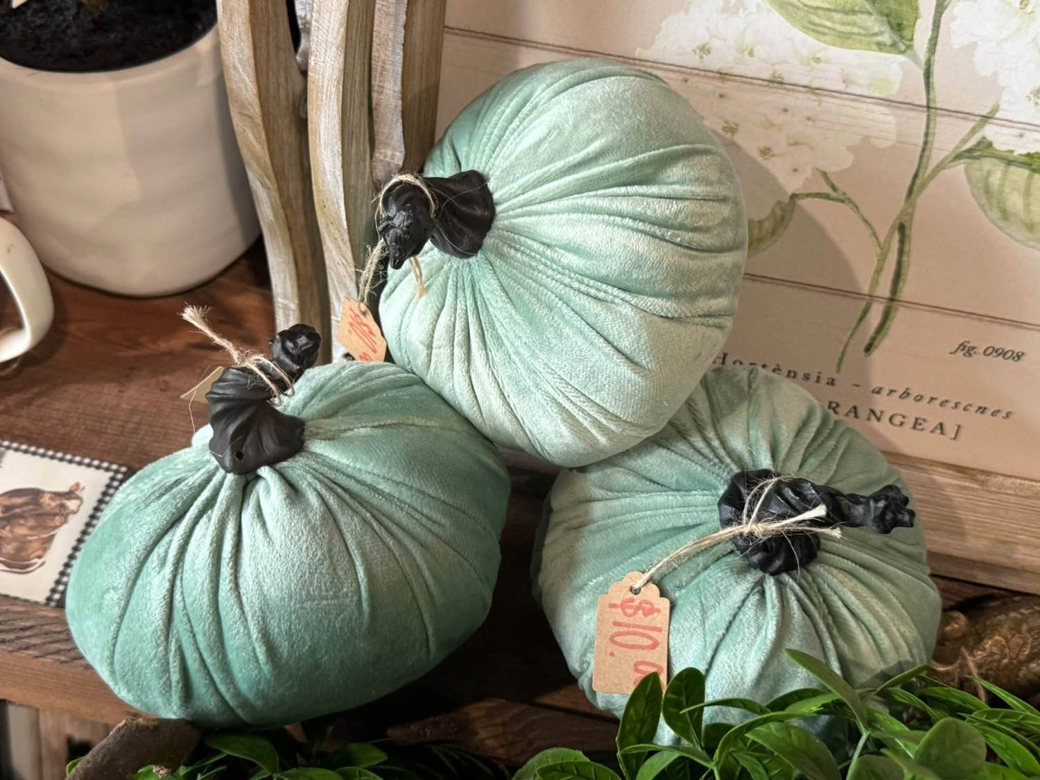 Sage green velvet pumpkins with black stems, $10 each.