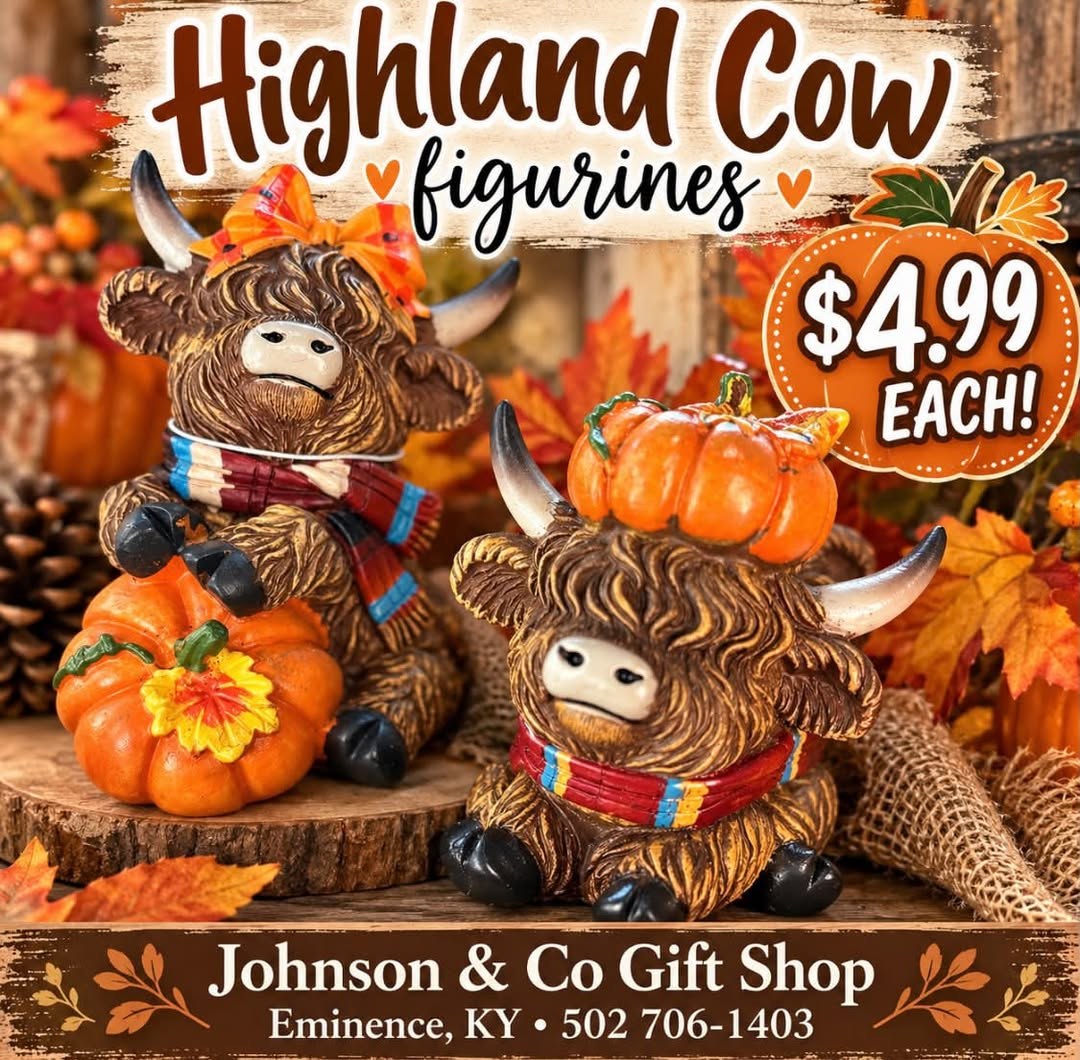 Highland cow figurines in scarves with fall pumpkins.